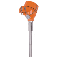 Kobold Resistance Thermometer, TWL-Exd